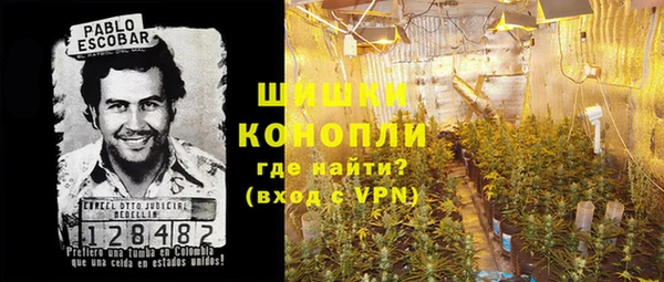 шишки Алексеевка