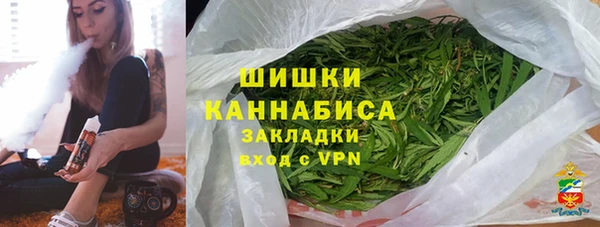 твердый Новодвинск